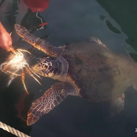 Anastasias House 3* Λαγανάς