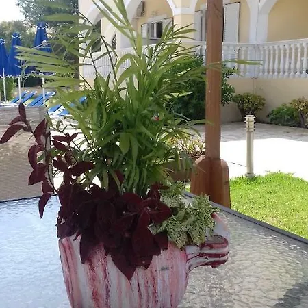 Ξενοδοχείο με διαμερίσματα Anastasias House